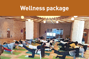 Family Wellness Package [4pax]