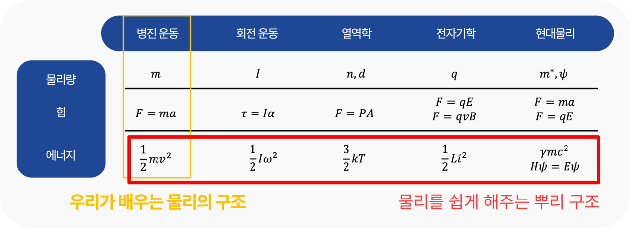 뿌리 물리 구조