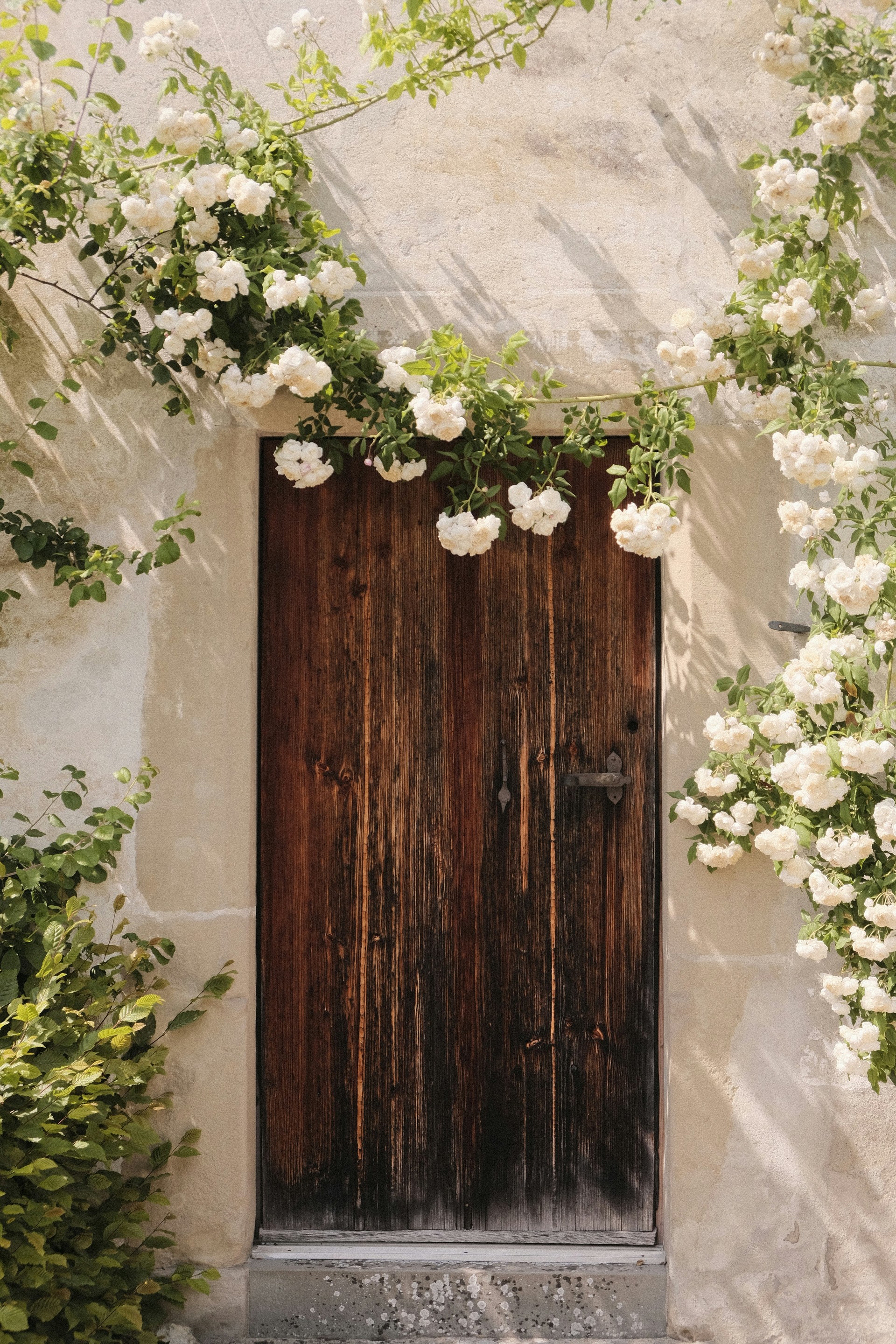 mobile background