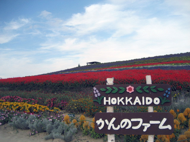 일본 허브견문여행_ 북해도 후라노 지역 <p></p>" 일본 북해도는 대표적인 허브 팜 지역이 있다. 관광지로 유명하며 ..... "
