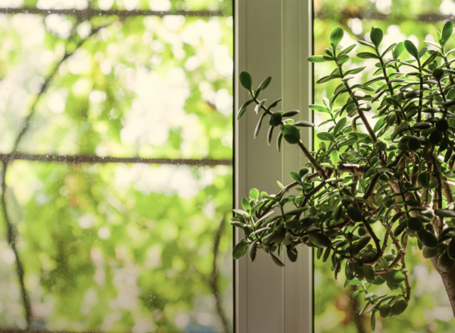 <div class="sec3-title"><div class="sec3-title-btn">GREEN<img src="https://cdn.imweb.me/thumbnail/20250519/ce79053f57016.png"></div>ECO-FRIENDLY SYSTEM</div> <div class="sec3-text">Zero fossil fuel. Zero natural gas. <br>Electricity only!</div>