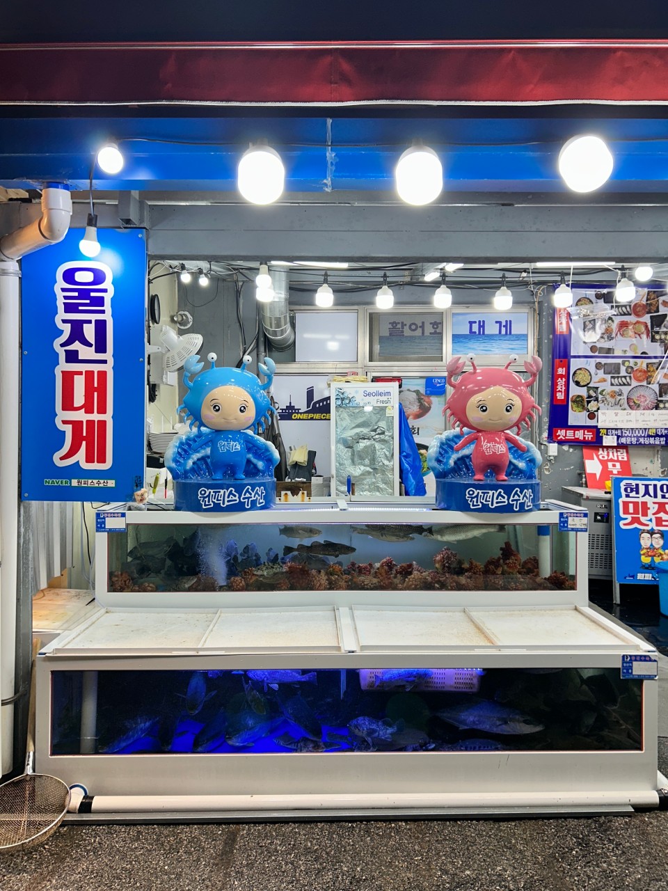 <b>원피스수산</b><br>죽변