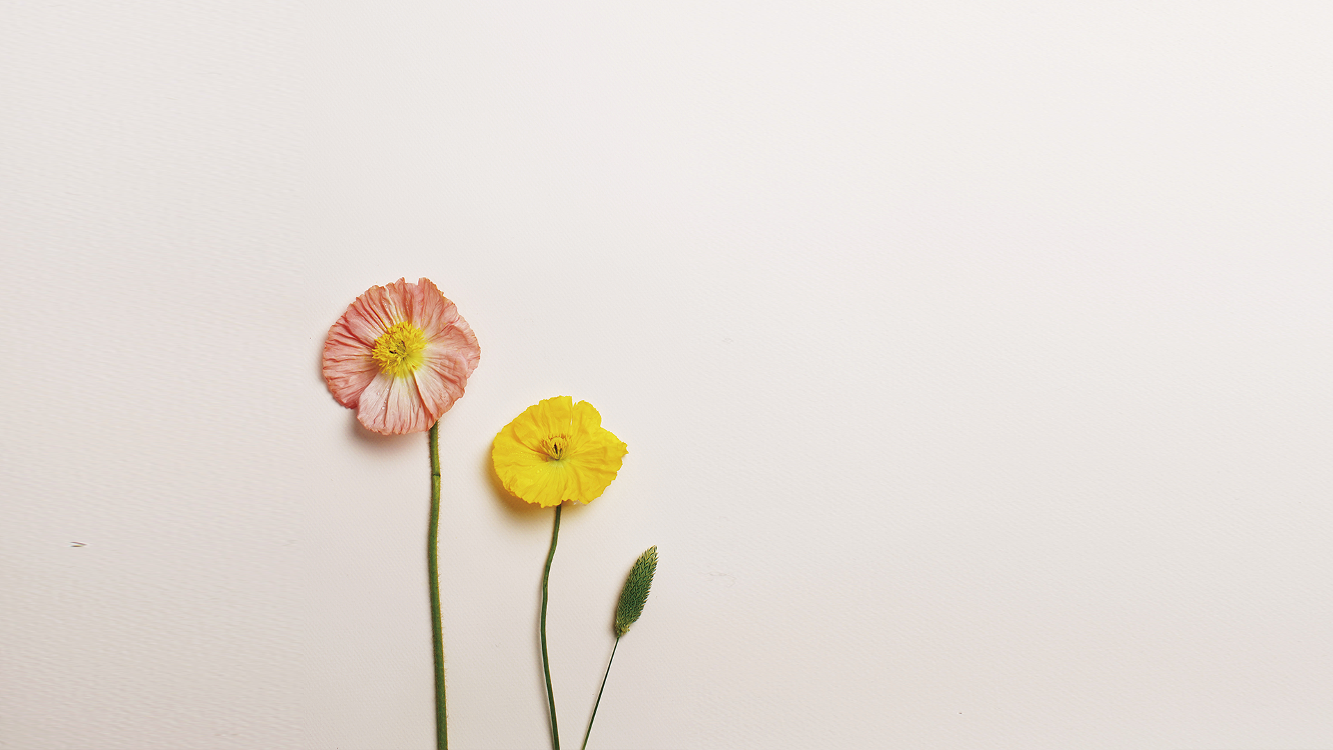 mobile background