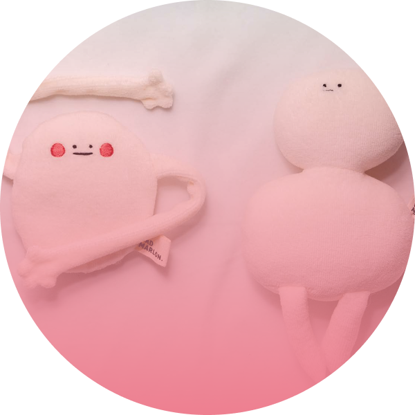 <strong>오가닉 제품</strong>