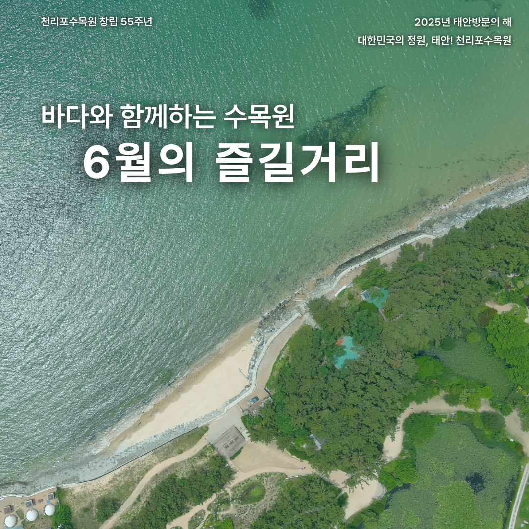 예약링크