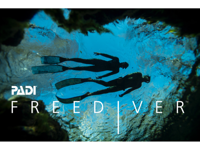 <p style="text-align:left; font-size:16px; margin-top:26px;">PADI FreeDiver<br>강사개발과정(FIDC)<br><span style="color:#666; font-size:14px; ">2,000,000원</span></p>