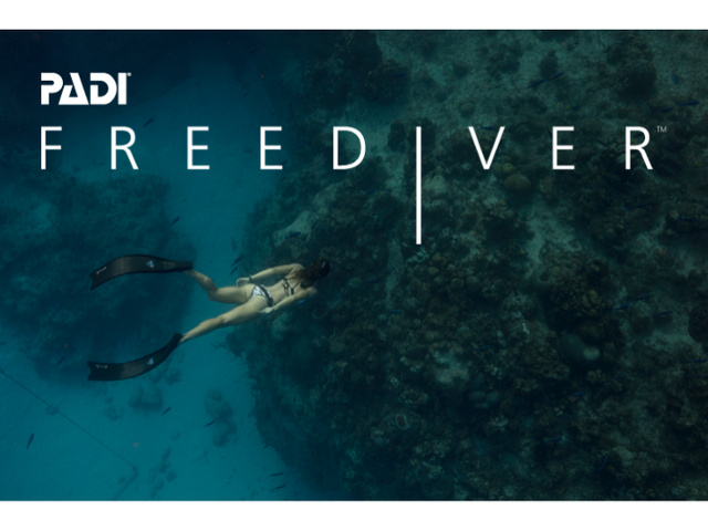 <p style="text-align:left; font-size:16px; margin-top:26px;">PADI Advanced Freediver (Lv3)<br><span style="color:#666; font-size:14px; ">750,000원</span></p>