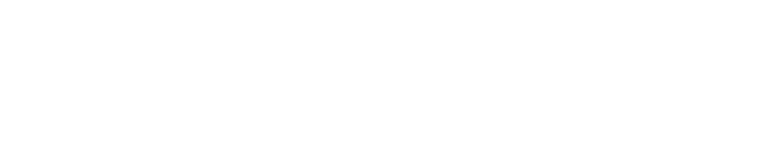 세종정책자금연구소
