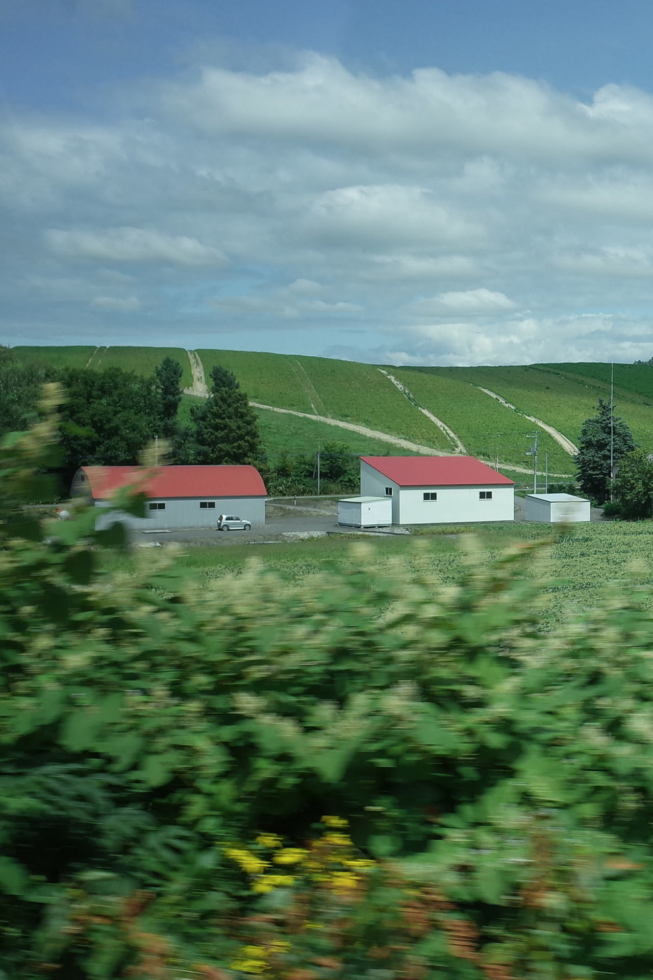 2024 Hokkaido biei