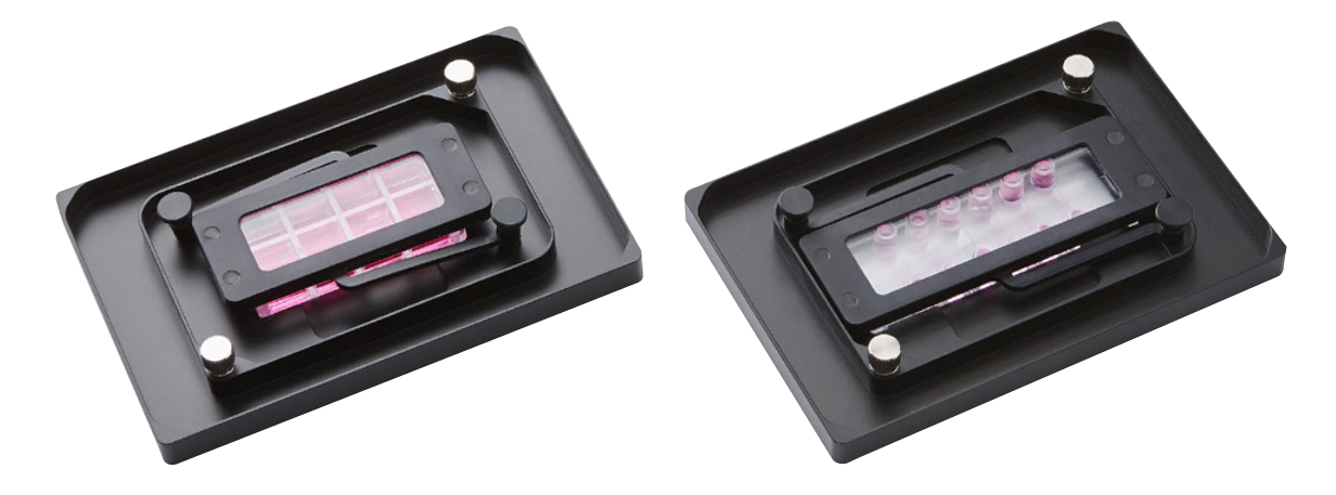 Chambered Coverglass , Chambered Glass