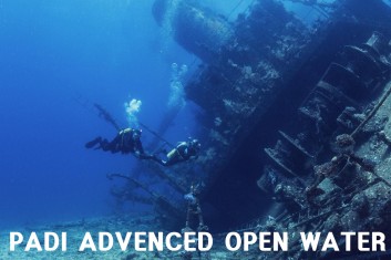 <p style="text-align:left; font-size:16px; margin-top:26px;">PADI 어드밴스드<br>오픈워터 다이버 (AOW)<br><span style="color:#666; font-size:14px; ">700,000원</span></p>