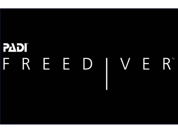 <p style="text-align:left; font-size:16px; margin-top:26px;">PADI FreeDiver<br>패키지 과정<br><span style="color:#666; font-size:14px; ">1,200,000원</span></p>