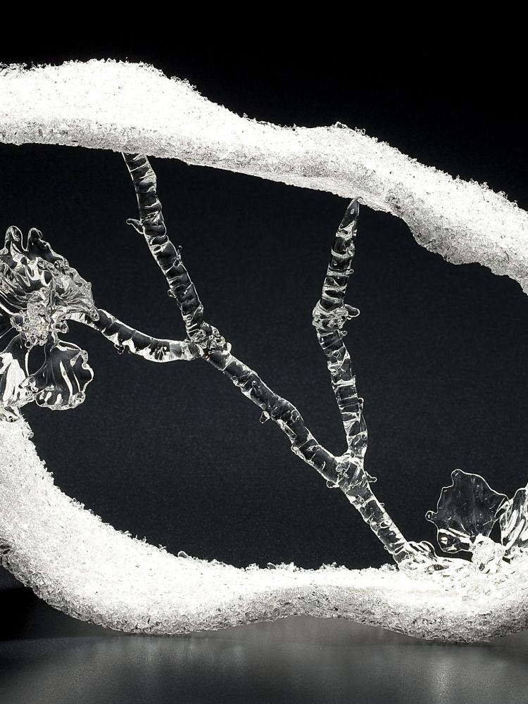 강태이 작품 이미지