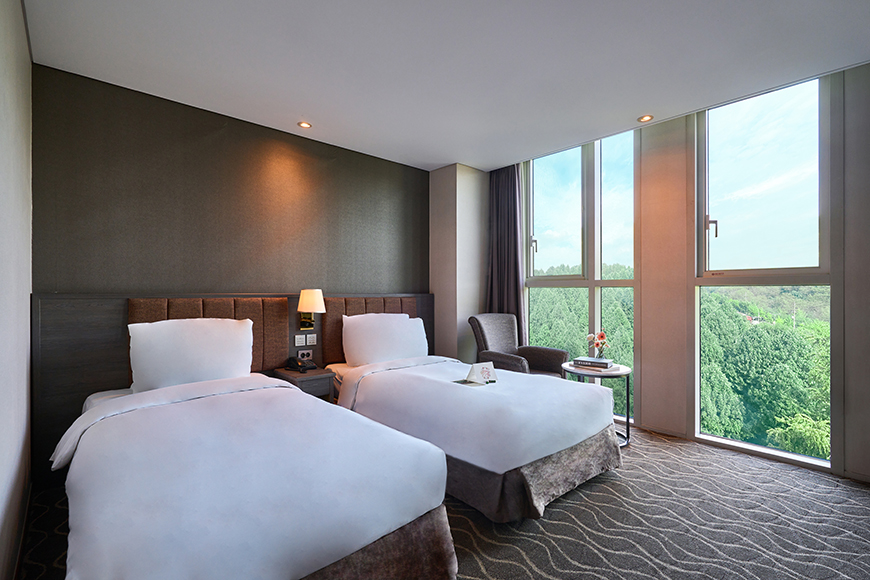 <style>   .room-container {     max-width: 800px; /* 원하는 최대 너비로 조정 */     margin: 0;        /* 가운데 정렬 */   }   .room-box {     margin-top: -30px; /* 이미지와 박스 사이의 간격을 없앰 */     background: #fff;     border-radius: 0px 0px 24px 24px;     padding: 30px 36px 30px 36px;     box-sizing: border-box;     width: 100%; /* 부모(.room-container) 기준 100% */     text-align: left;   }   .title-section {     font-size: 30px;     color: #5f9ccd;     margin-bottom: 16px;     text-align: left;   }   .room-features {     display: flex;     align-items: baseline;     text-align: left;   }   .room-feature-divider {     display: inline-block;     height: 13px;     width: 1px;     background: #888;     margin: 0 16px;   }   .desc-flex {     display: flex;     margin: 0 0 32px 0;     align-items: flex-start;     text-align: left;   } </style>  <div class="room-container">   <div class="room-box">     <div class="title-section">       スクエアスタンダードツイン     </div>     <div class="desc-flex">       <span style="color: #888">         ベーシックな客室であり、現代的な感覚のデザインと清潔感のある印象が特徴です。<br>         応接用ソファおよびテーブルが備え付けられております。<br>       </span>     </div>     <div class="desc-flex">       <span style="color: #e59945">         朝食券込み<br>       </span>     </div>     <hr style="border: none; height: 1px; background-color: #eee; width: 100%; margin: 30px 0 30px 0; margin-left: 0;">     <div class="room-features" style="font-size: 16px; color: #000;">       <span>         <svg width="20px" height="20px" viewBox="0 0 23 14" fill="none" xmlns="http://www.w3.org/2000/svg">           <g stroke-width="0"></g>           <g stroke-linecap="round" stroke-linejoin="round"></g>           <g id="SVGRepo_iconCarrier">             <path fill-rule="evenodd" clip-rule="evenodd"               d="M9 12C10.93 12 12.5 10.43 12.5 8.5C12.5 6.57 10.93 5 9 5C7.07 5 5.5 6.57 5.5 8.5C5.5 10.43 7.07 12 9 12ZM2 17.25C2 14.92 6.66 13.75 9 13.75C11.34 13.75 16 14.92 16 17.25V19H2V17.25ZM9 15.75C7.21 15.75 5.18 16.42 4.34 17H13.66C12.82 16.42 10.79 15.75 9 15.75ZM10.5 8.5C10.5 7.67 9.83 7 9 7C8.17 7 7.5 7.67 7.5 8.5C7.5 9.33 8.17 10 9 10C9.83 10 10.5 9.33 10.5 8.5ZM16.04 13.81C17.2 14.65 18 15.77 18 17.25V19H22V17.25C22 15.23 18.5 14.08 16.04 13.81ZM18.5 8.5C18.5 10.43 16.93 12 15 12C14.46 12 13.96 11.87 13.5 11.65C14.13 10.76 14.5 9.67 14.5 8.5C14.5 7.33 14.13 6.24 13.5 5.35C13.96 5.13 14.46 5 15 5C16.93 5 18.5 6.57 18.5 8.5Z"               fill="#5f9ccd"></path>           </g>         </svg>           最大２人       </span>       <span class="room-feature-divider"></span>       <span>         <svg fill="#5f9ccd" width="18px" height="18px" viewBox="0 0 25 18" xmlns="http://www.w3.org/2000/svg">           <g stroke-width="0"></g>           <g id="SVGRepo_tracerCarrier" stroke-linecap="merit" stroke-linejoin="butt"></g>           <path d="M3 5v14c0 1.103.897 2 2 2h14c1.103 0 2-.897 2-2V5c0-1.103-.897-2-2-2H5c-1.103 0-2 .897-2 2zm16.002 14H5V5h14l.002 14z"></path>           <path d="M15 12h2V7h-5v2h3zm-3 3H9v-3H7v5h5z"></path>         </svg>          24.10㎡       </span>       <span class="room-feature-divider"></span>       <span>         <svg fill="#5f9ccd" width="16px" height="16px" viewBox="0 0 22 19" xmlns="http://www.w3.org/2000/svg">           <g stroke-width="0"></g>           <g stroke-linecap="round" stroke-linejoin="round"></g>           <g id="SVGRepo_iconCarrier">             <path d="M20 9.557V3h-2v2H6V3H4v6.557C2.81 10.25 2 11.525 2 13v4a1 1 0 0 0 1 1h1v4h2v-4h12v4h2v-4h1a1 1 0 0 0 1-1v-4c0-1.475-.811-2.75-2-3.443zM18 7v2h-5V7h5zM6 7h5v2H6V7zm14 9H4v-3c0-1.103.897-2 2-2h12c1.103 0 2 .897 2 2v3z"></path>           </g>         </svg>           ツイン２台       </span>     </div>   </div> </div>