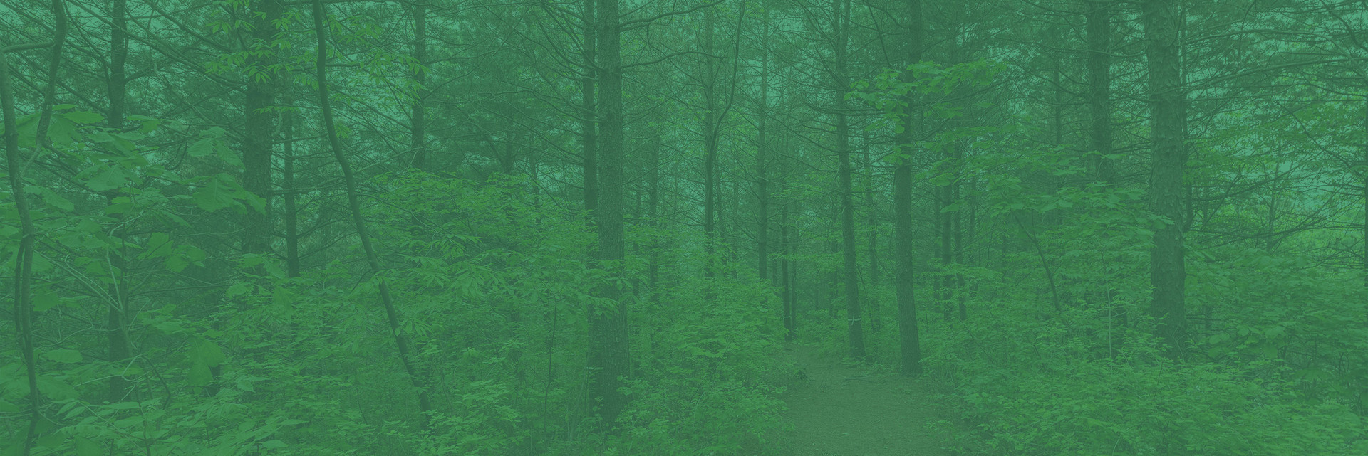 mobile background