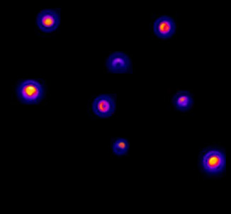 For the most demanding single molecule experiments EMCCD cameras are the most suitable. However, Sona-11 can be a viable option for stronger signals. Image  from Andor Technology. 