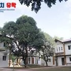 WE어학원(앙헬레스) 전경
