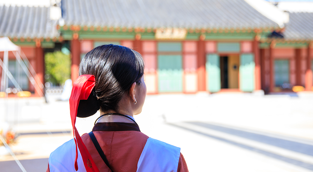 <h4 style="margin-top:20px !important; line-height:1.4;">Day Tour Packages for International Visitors </h4>