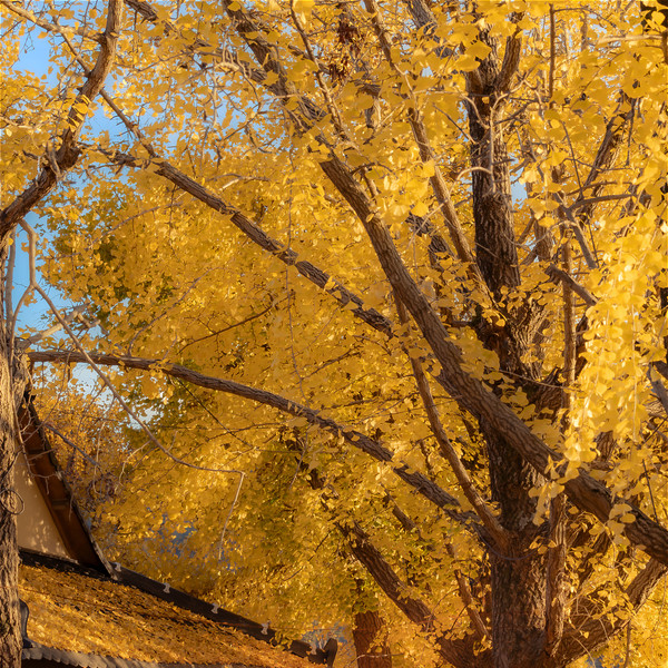 예약 상품 이미지