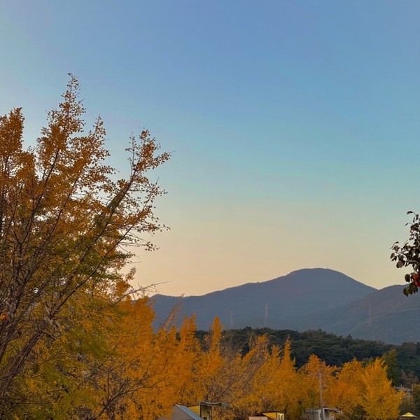 예약 상품 이미지