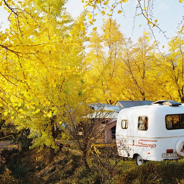 예약 상품 이미지