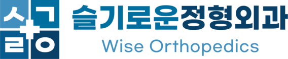 슬기로운정형외과