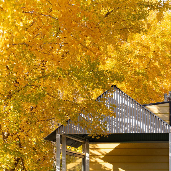 예약 상품 이미지