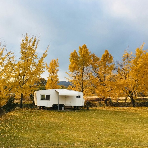 예약 상품 이미지