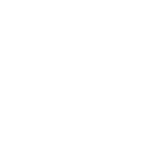 보라국어