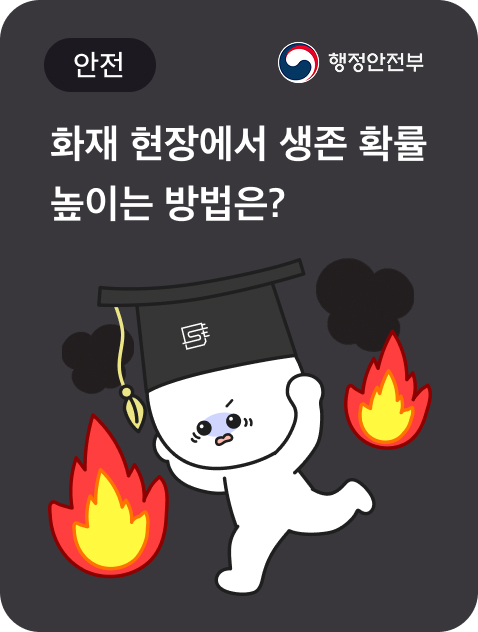 카드7
