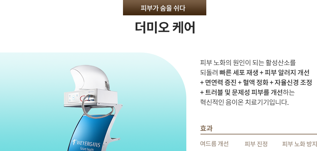 더미오케어