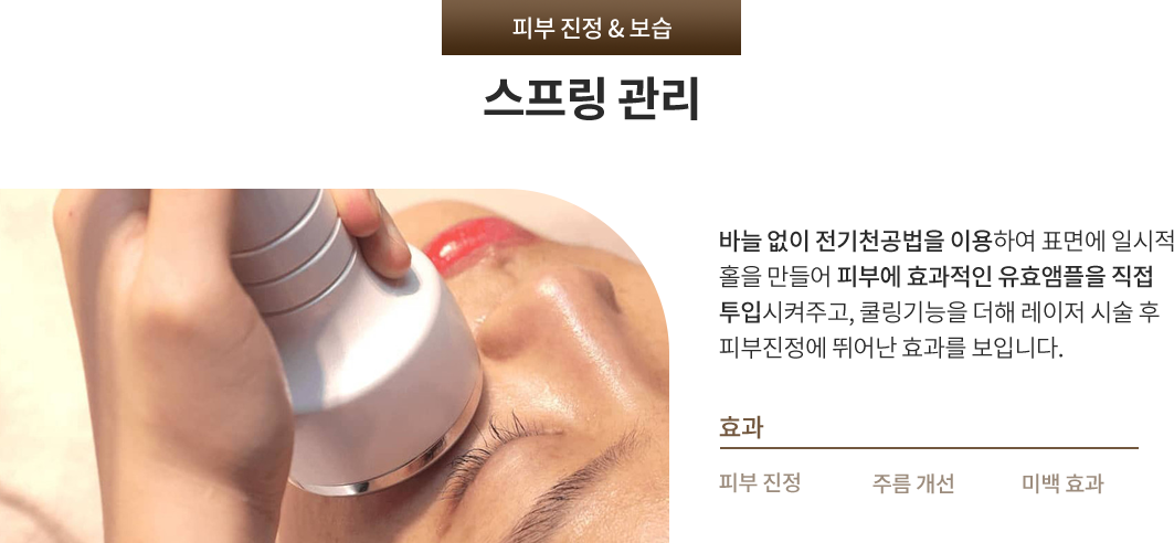 스프링 관리