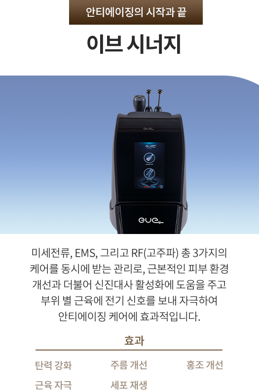 이브 시너지