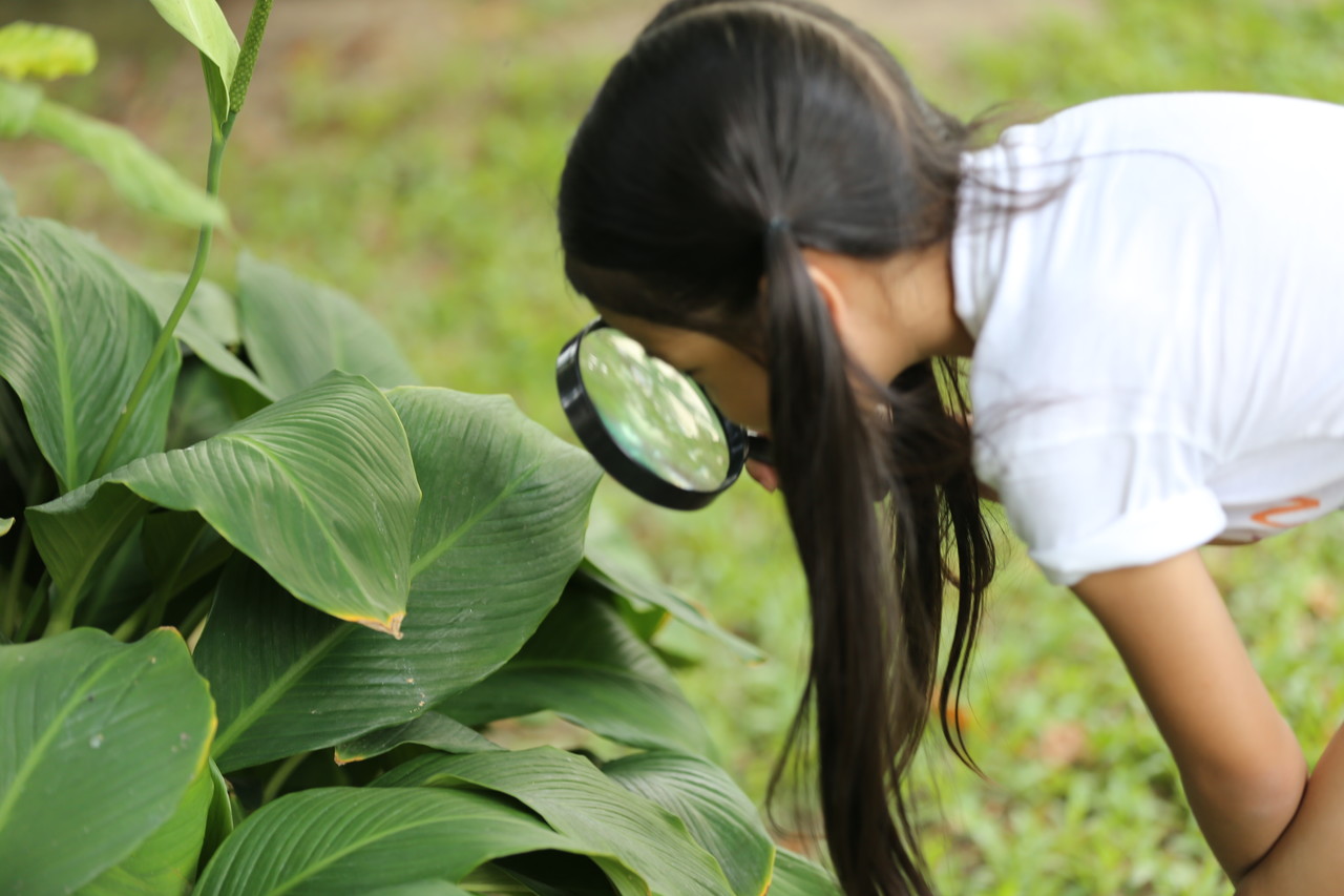 <b>정기 프로그램</b>