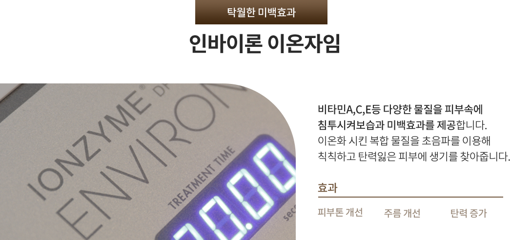 인바이론 이온자임
