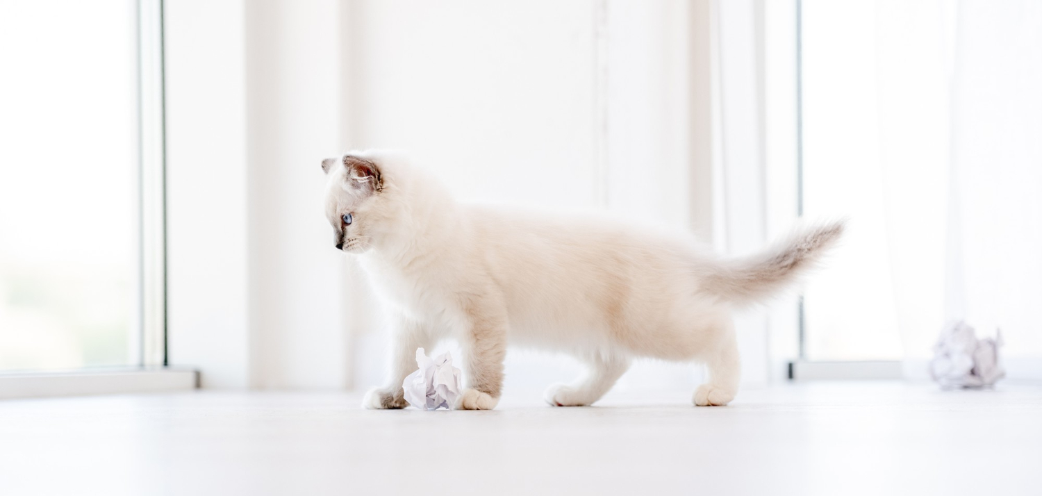 체계적인 시스템