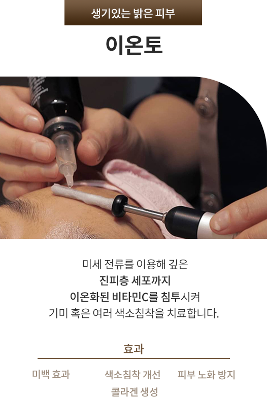 이온토