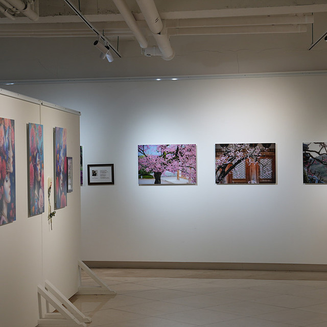 영덕사진연구회