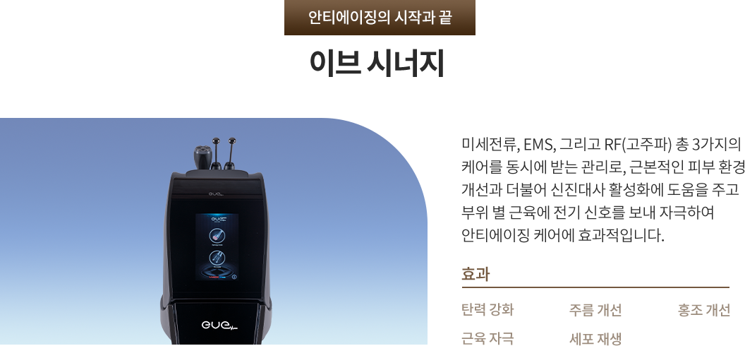 이브 시너지