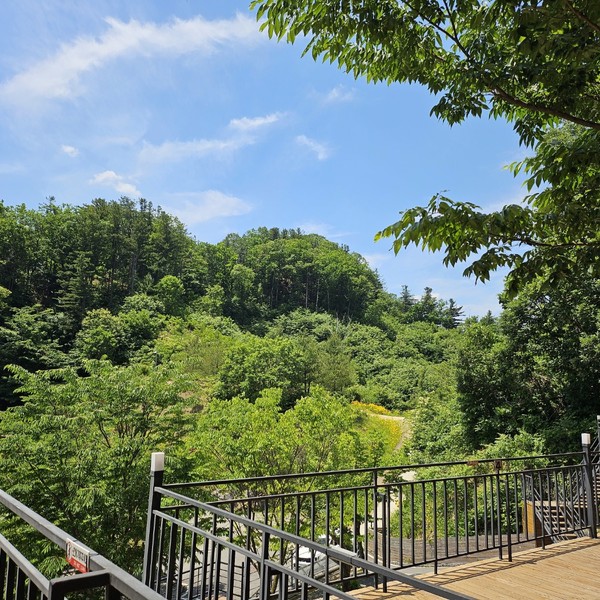 예약 상품 이미지
