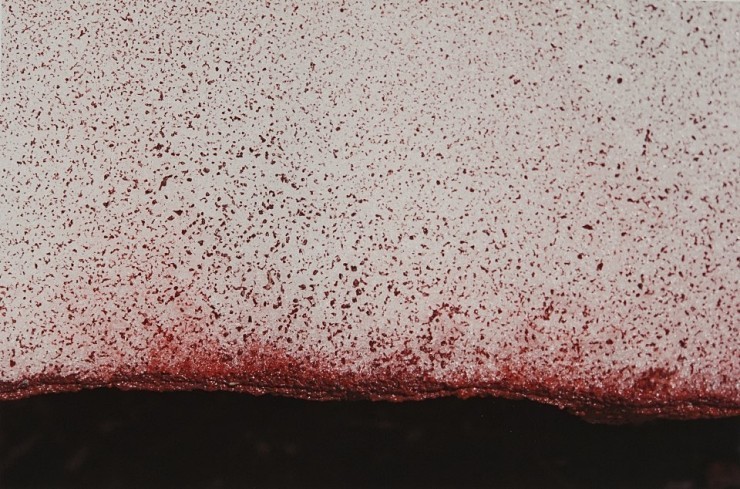 Névés(만연설)<br>사진, 80x60cm, 2010