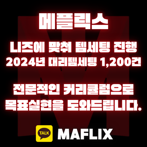 메이플대리템세팅 메플릭스