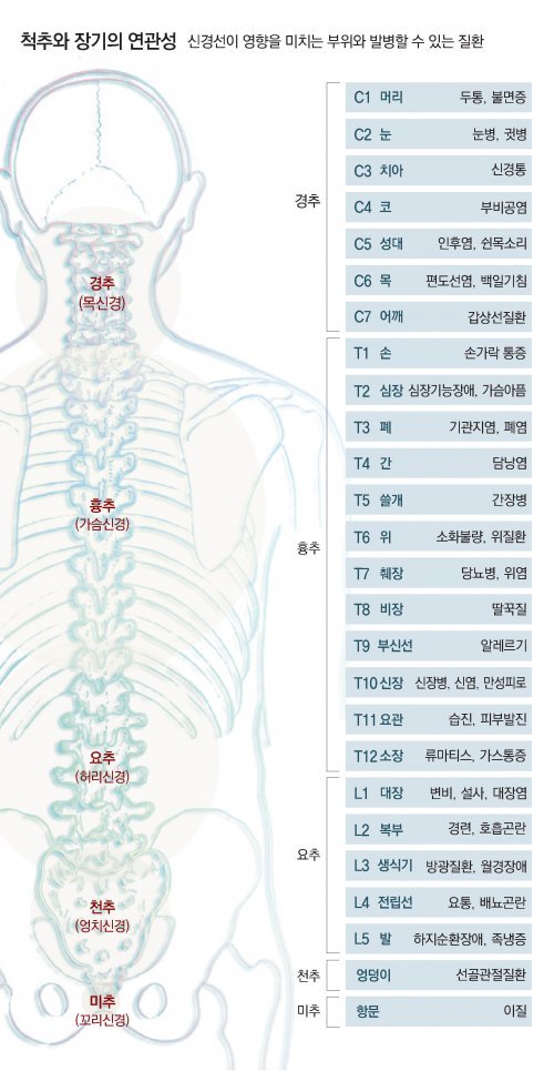출처: 동아일보 2019.11.27