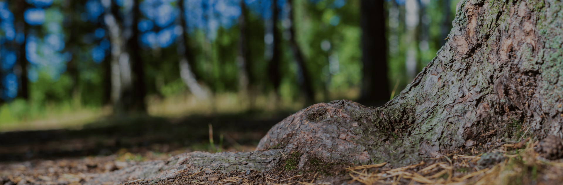 <h1 style="font-weight: 900; font-size: 44px; letter-spacing: -1px; margin: 0;">식품 신선도 관련 뉴스</h1>