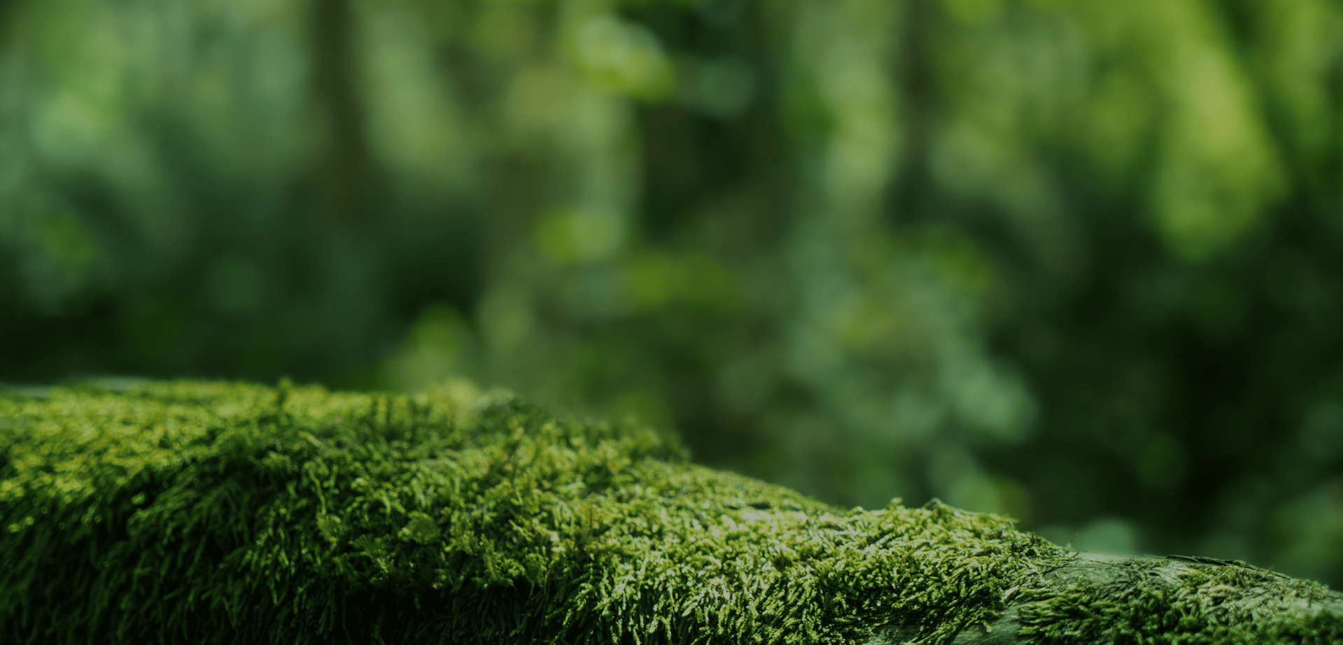 <h1 style="font-weight: 900; letter-spacing: -1px; font-size: 28px;">사업 소개</h1>