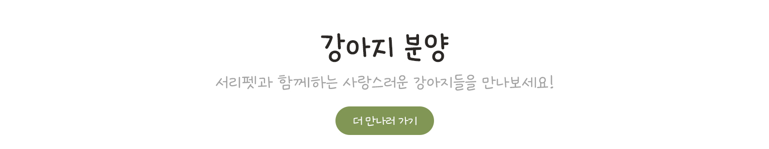 강아지 분양, 함께하는 사랑스러운 강아지들을 만나보세요