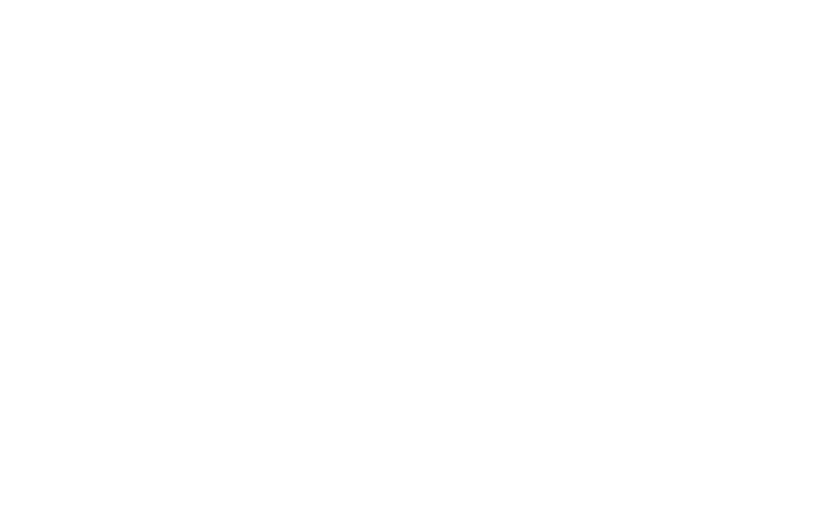 텍스트