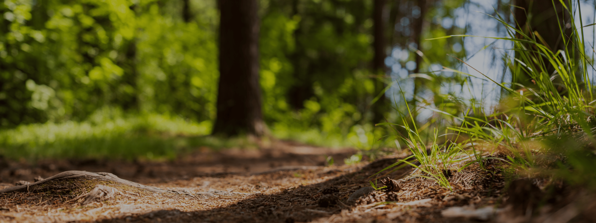 <h1 style="font-weight: 900; letter-spacing: -1px; font-size: 44px; margin: 0;">인증 제품</h1>