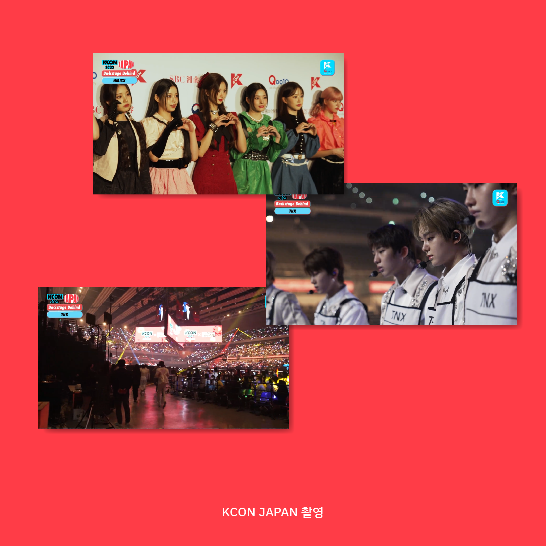 Objekt Kollektion Phone Case