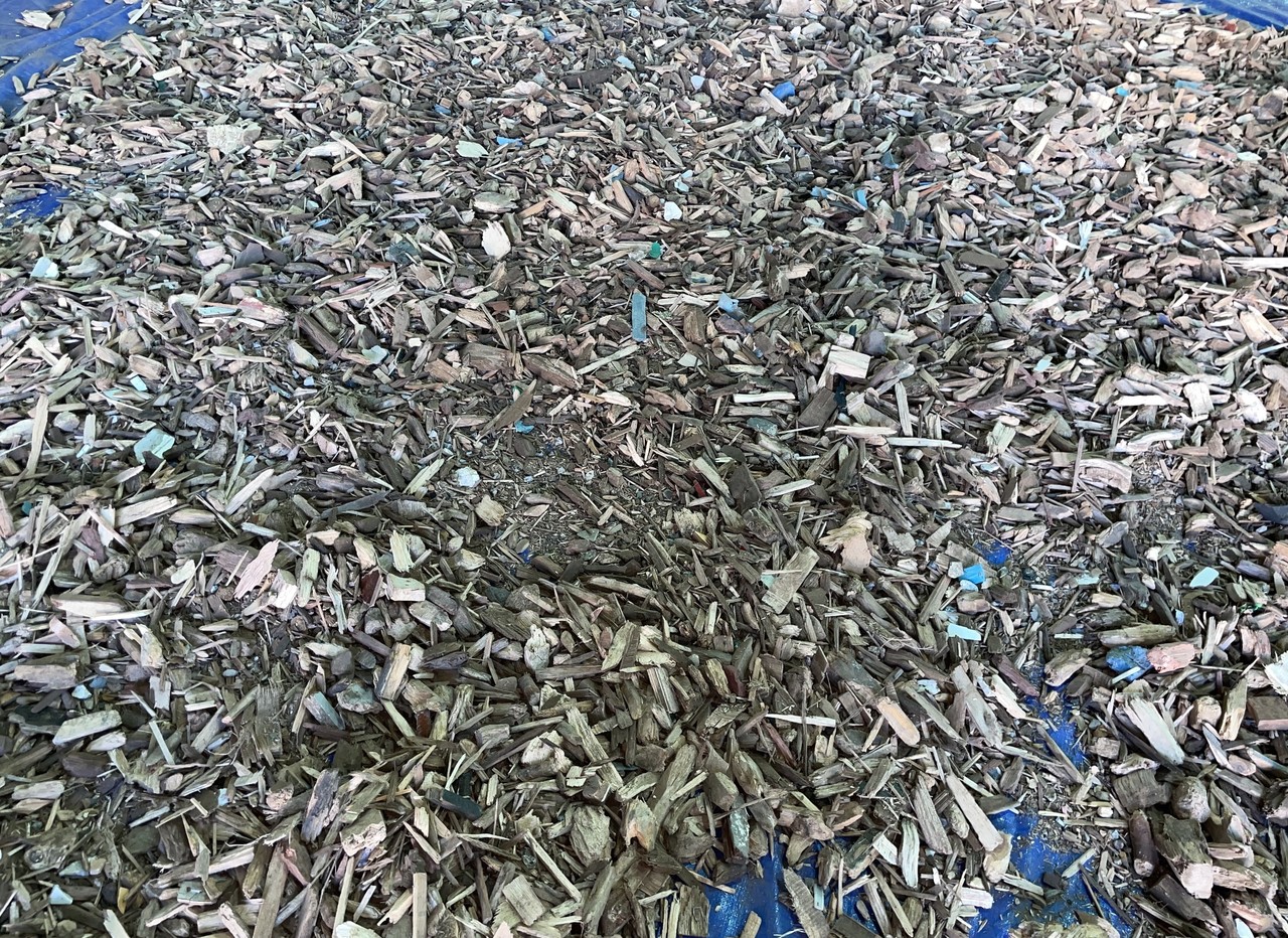 선별된  Wood Chip